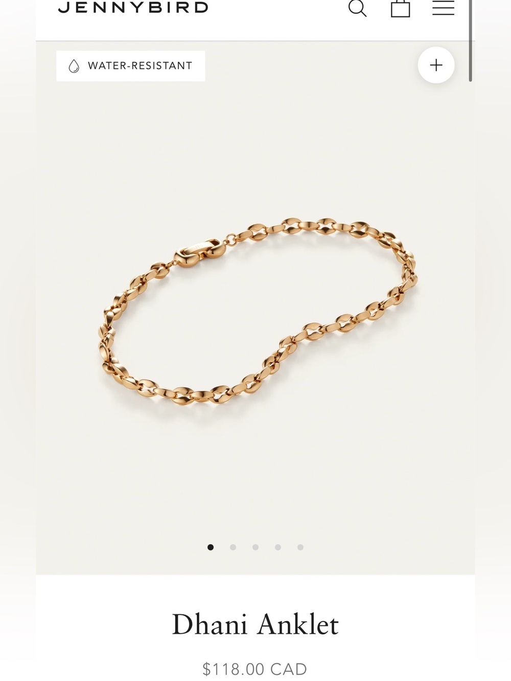 Jenny Bird Dhani Anklet